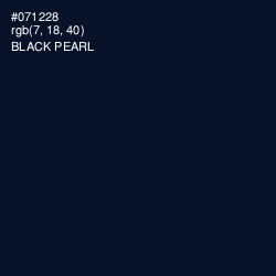 #071228 - Black Pearl Color Image